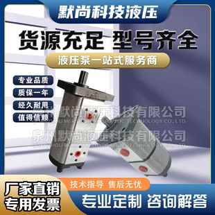 306小型高压油泵配件大全泵头 F310 双联液压齿轮泵油泵总成CBN