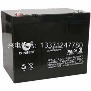 CONSEN光盛蓄电池GS12V38AH UPS/EPS消防 直流屏 太阳能 专用电源