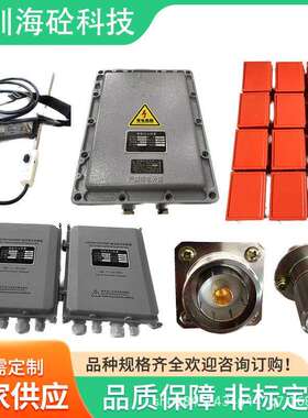 火电厂点火控制系统高能点火器 DHQ-05 AC220V