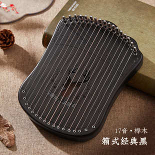 17音指弹弦琴弹拨西洋乐器简单易上手好玩冷门乐器稀奇古怪的乐器