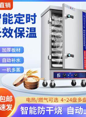 全自动商用蒸饭柜燃气电热蒸饭车小型家用智能蒸饭机220v电蒸箱