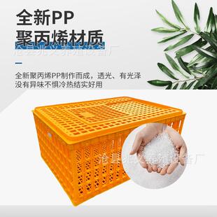 鸡笼养塑料周DTN转箱加厚防家摔运成鸡输周转笼用塑料养鸡笼现货