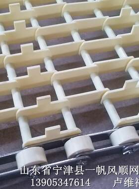 洗碗机塑料网带  餐具清洗消毒输送带  结构合理 易清洗 价格实惠