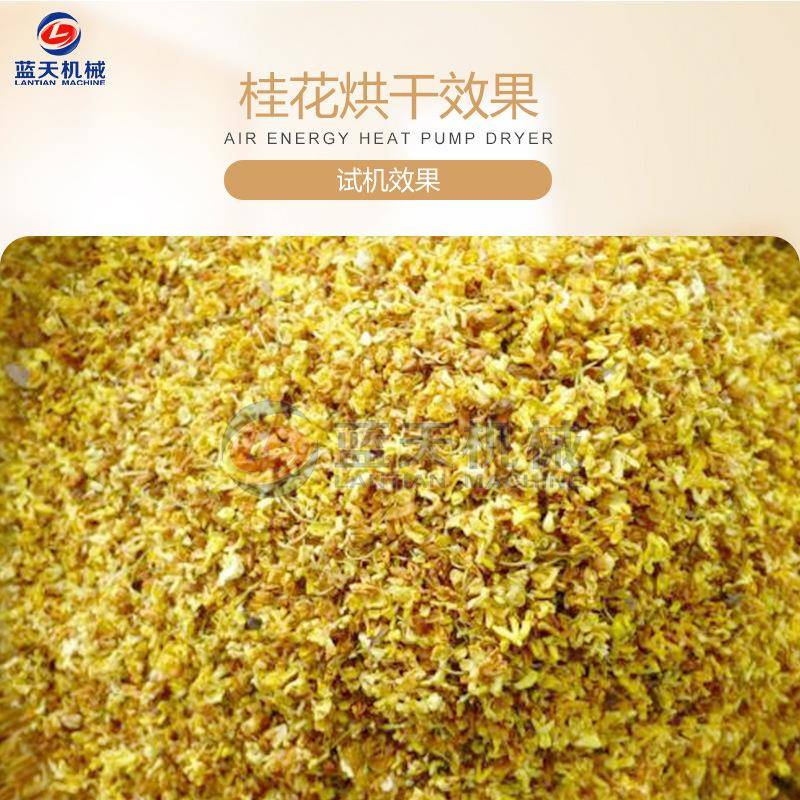 花烘干机空气能 木花犀九里香烘干箱 热风循月环BTX桂花茶桂烘干图片