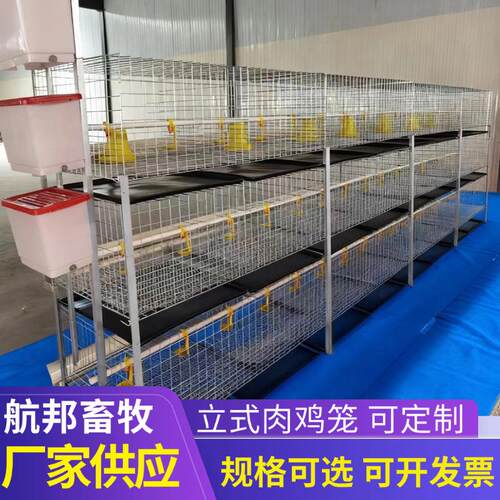热镀锌H型立式肉鸡笼半自动养鸡笼鸡舍家用养殖捡蛋清粪设备厂家
