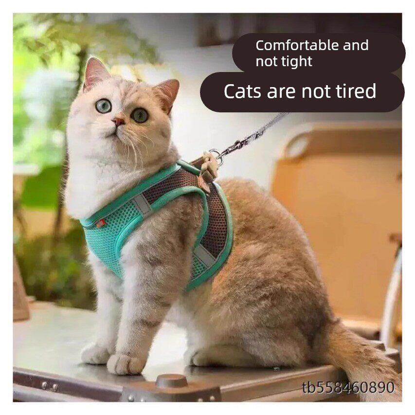 蓝猫牵引绳背心胸背可调节英短蓝白猫遛猫绳子防挣脱专用外出炼子