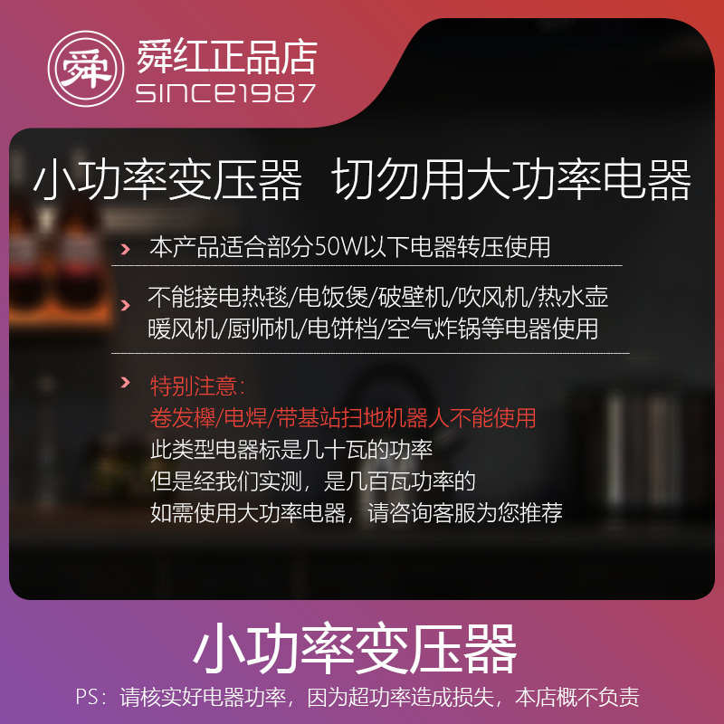 变压器220v转110v插头小功率洗牙器电动牙刷台湾充电器电压转换器