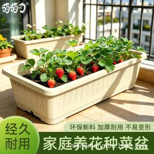 阳台种菜盆专用箱专用盆室外花盆长方形懒人种植盆家用大号蔬菜盆