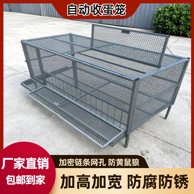 鸡笼子家用大号鸡鸭鹅笼特大家禽养殖笼加厚自动滚蛋鸡笼蛋托防护