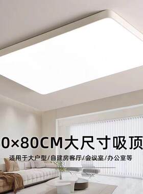 金幻大尺寸客厅灯led吸顶灯卧室灯餐厅灯简约现代办公室极简灯具