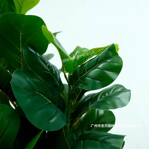 仿真树植物假绿植盆栽客厅室内大型假盆景落地摆件假树仿真琴叶榕