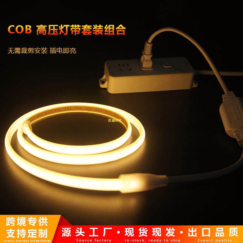 跨境爆款led灯带110v户外防水线形家用吊顶工厂套装COB软灯条