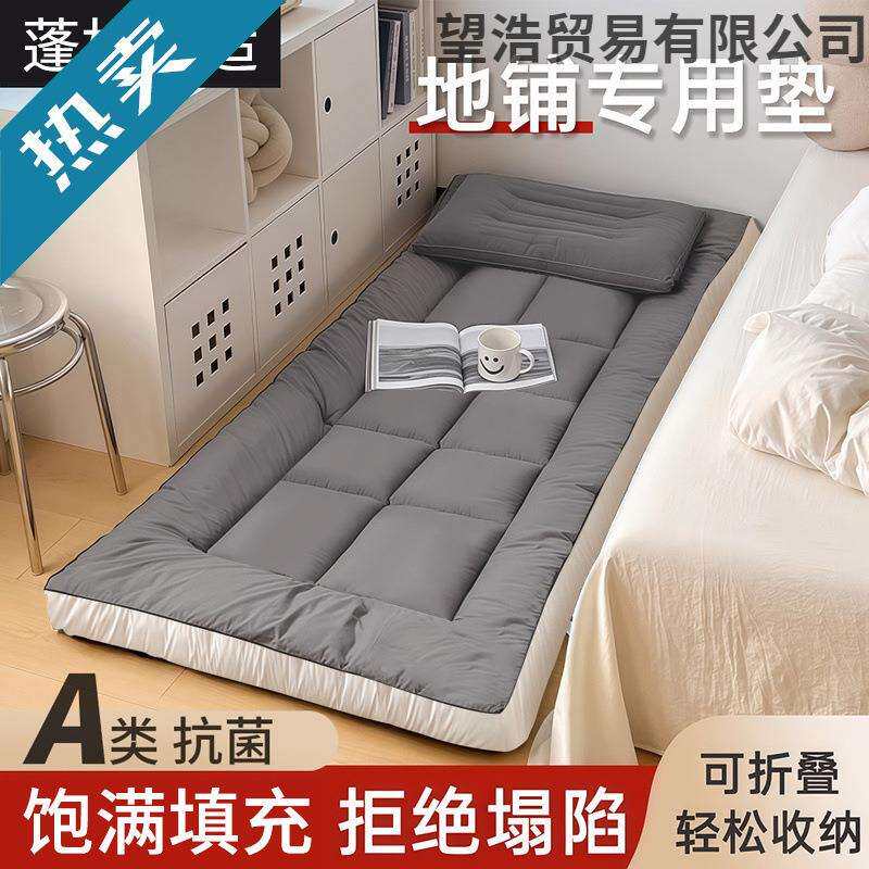 地垫睡垫榻榻米地铺专用睡垫床垫软垫家用卧室出租房可折叠不塌陷