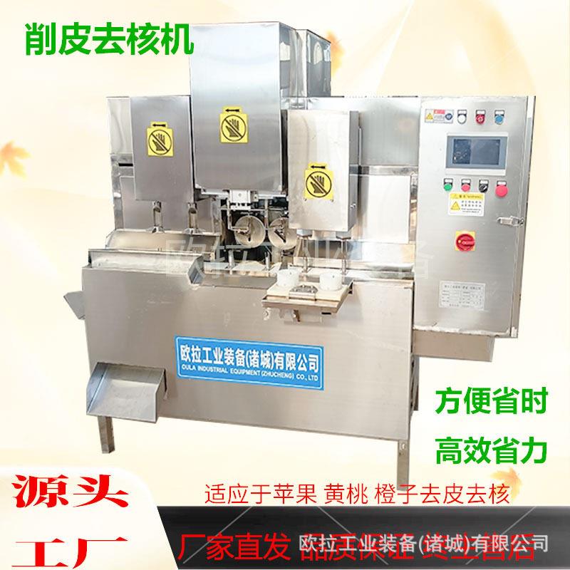 做冻干脆梨苹果去核去皮切片设备 全自动削皮去核加工生产线