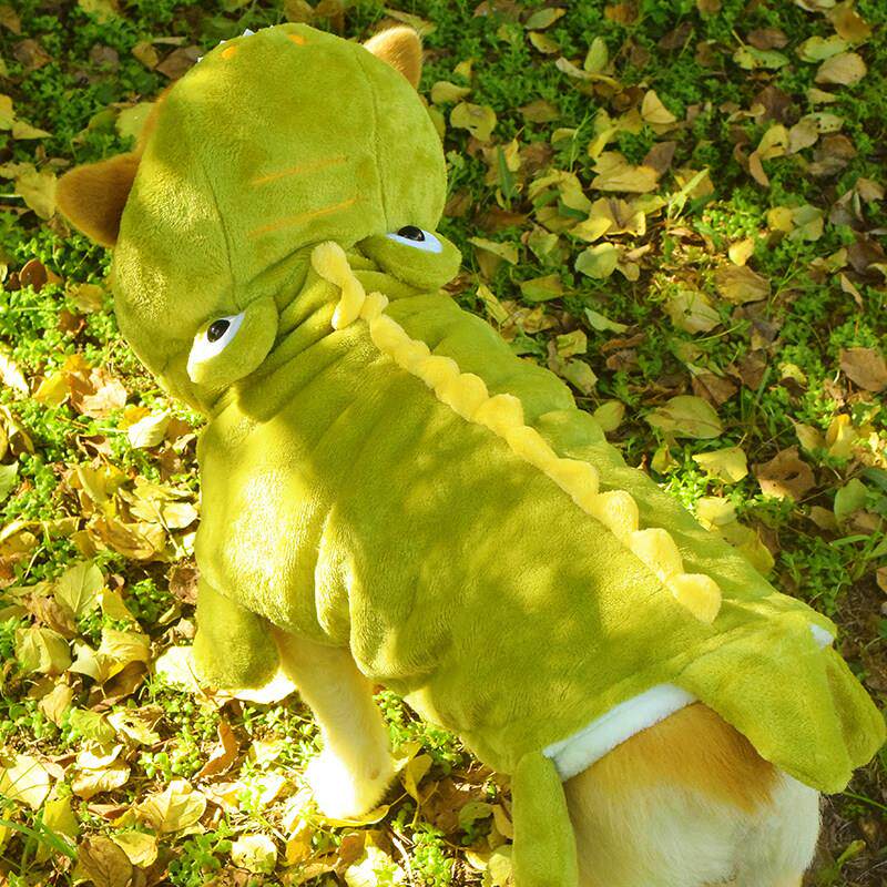 泰迪比熊柯基柴犬狗狗衣服秋冬装加厚加绒保暖背心鳄鱼宠物变身装