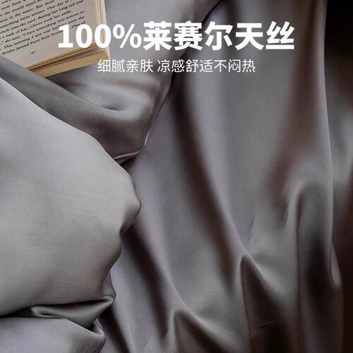 100支兰精天丝奥利兰精天丝夏季床地上床丝四件套冰丝夏凉被套单