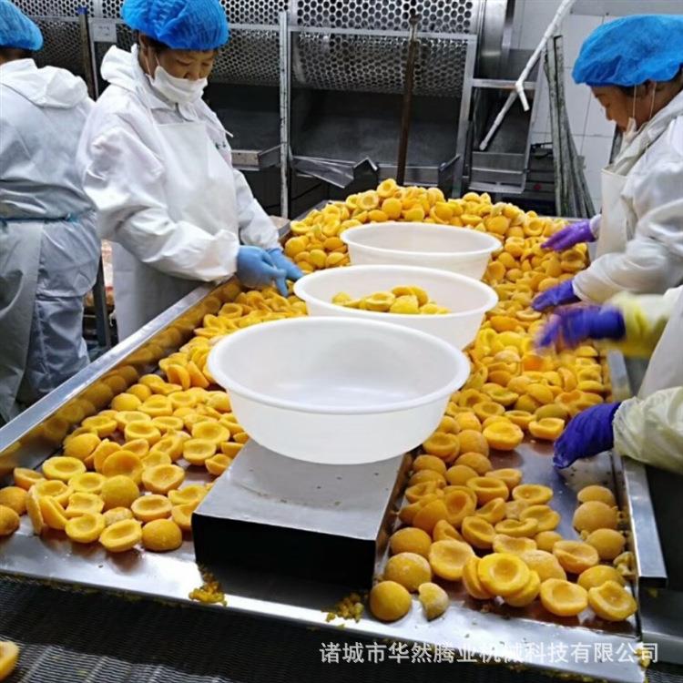 蓝莓草莓速冻机隧道压缩机冷冻柜全自动低温速冻设备水果速冻