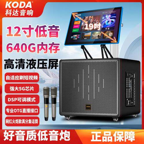 科达KD-1210户外广场舞音响带显示屏家用KTV卡拉ok视频音箱