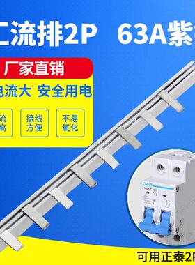 电气汇流排2P63A国标紫铜C45空开连接排梳妆母排接线排铜排断路器