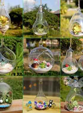 创意悬挂苔藓微景观玻璃花瓶多肉玻璃花瓶吊瓶DIY盆栽办公桌摆件