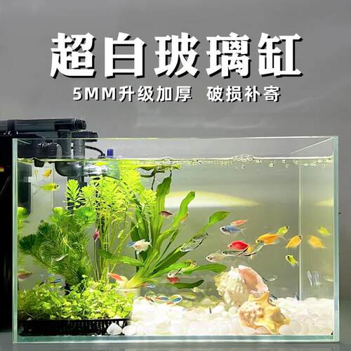 金晶超白缸长方形玻璃金鱼缸客厅桌面生态造景水草缸小型乌龟裸缸