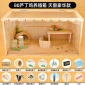 实木箱箱笼卢养子鸡鸡鸡笼饲养盒芦丁宠物全景窝pvc子鸡箱丁全套