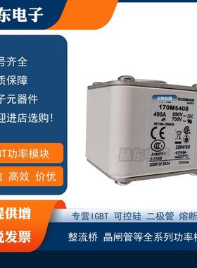 170M5408170M5409170M5410170M5411170M5412170M5413熔断器