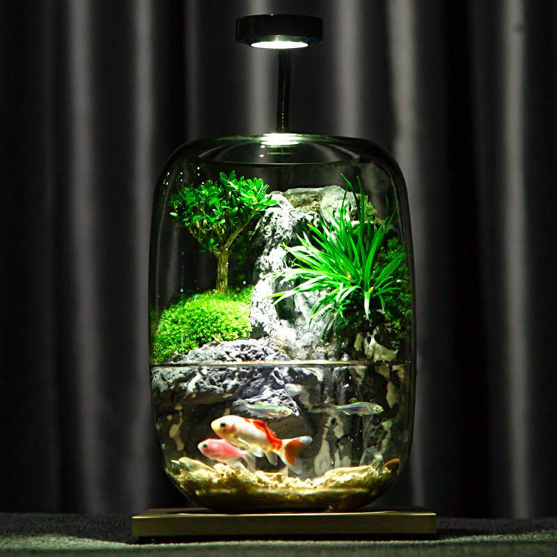 流水养鱼缸真植物苔藓微景观生态瓶创意办公室成品室内居家款送礼