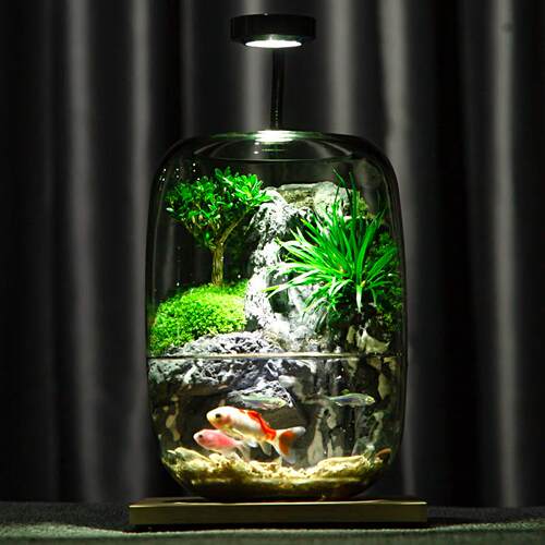 流水养鱼缸真植物苔藓微景观生态瓶创意办公室成品室内居家款送礼