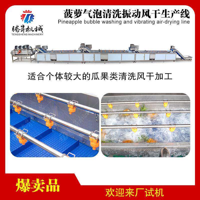 菠萝气泡清洗振动风干生产线风干设备水果加工机械气泡清洗机