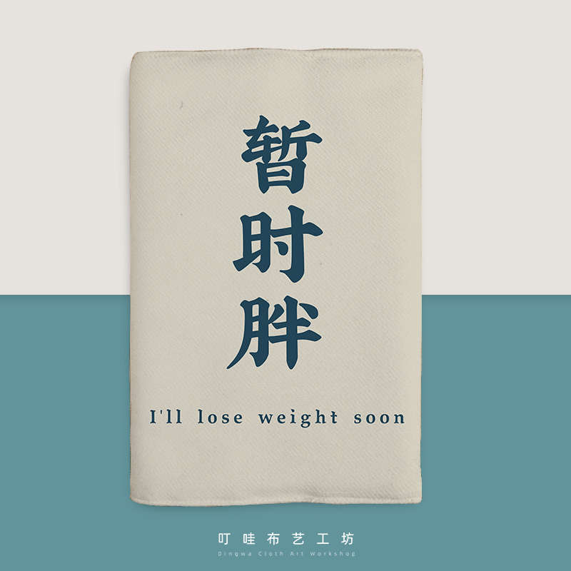 趣味文字布艺书皮封面定制暂时胖搞笑个性书衣书套小说本子保护套