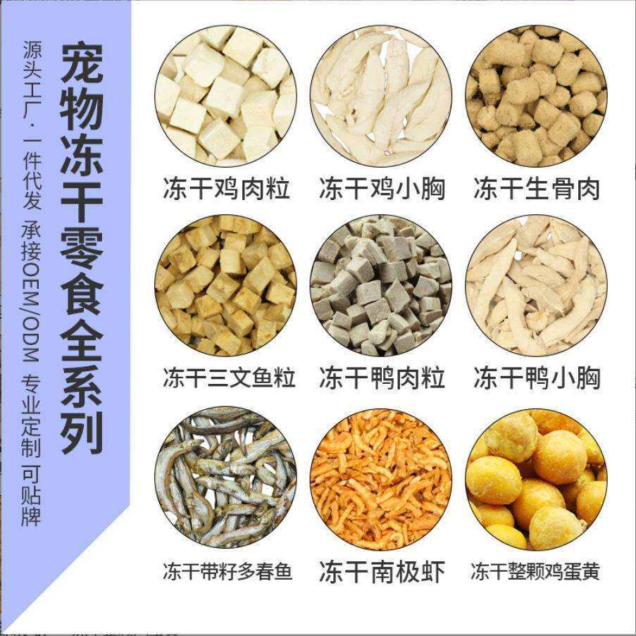 宠物不锈钢冻干机5平方生产线 蔬菜水果低温真空冷冻脱水冻干机