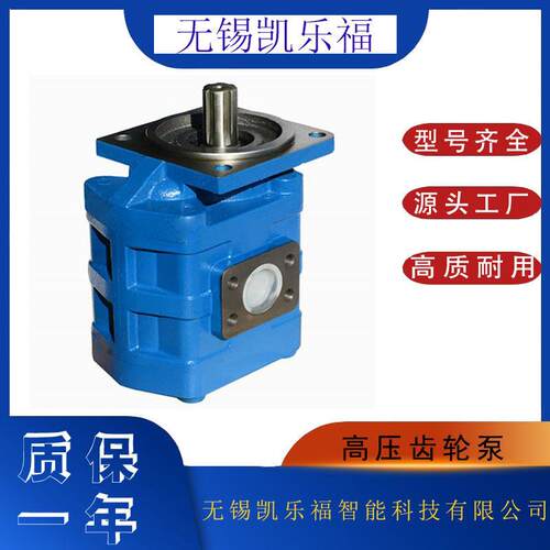 矿运铲车油泵J2100 装载机油泵J3160 钻机油泵J3125