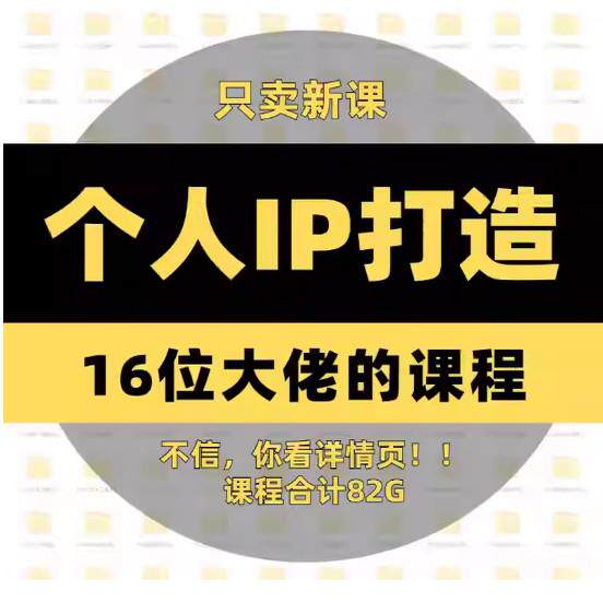从0到1个人ip打造教程私域营销变现创业人做私域系统新课程