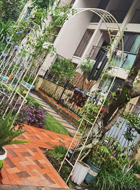 田园花拱花架欧式攀爬花架户外庭院花园攀爬凉棚玫瑰花厂直销