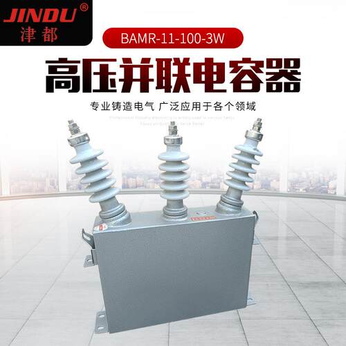 津都高压并联电容器BAMR-11-100-3W户外电容器补偿电容器