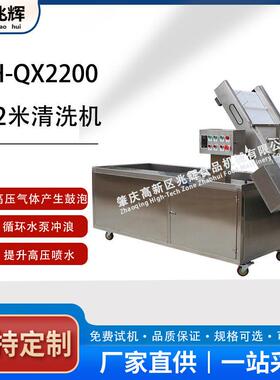 厂家直供3.2米洗菜机  果蔬气泡清洗设备 净菜加工洗菜机