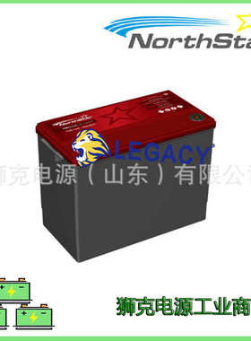 NorthStar北极星蓄电池NorthStar ELT-AGM31M电池