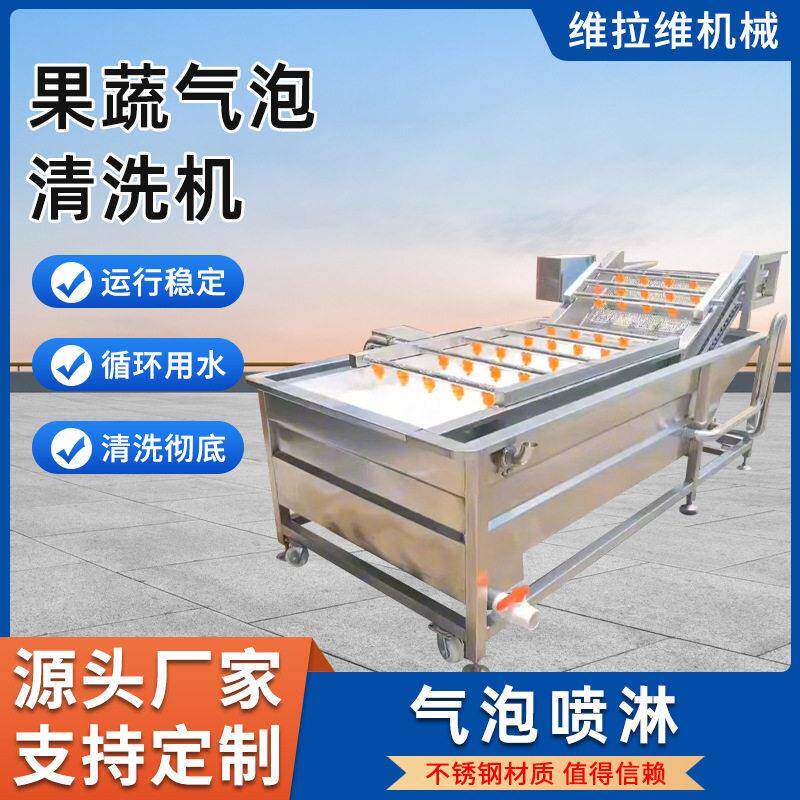 清洗机果蔬清洗机多功能清洗机椰肉清洗机厂家