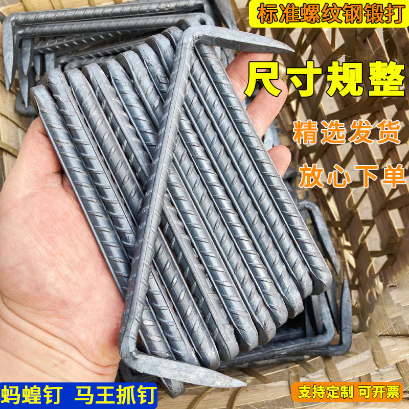 扒钉蚂蟥钉两头钉锔钉船钉马王钉工矿配件铁路钉铁马丁骑马钉耙钉