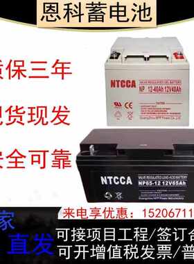 NTCCA恩科蓄电池NPG40-12/12V65A100A1A24A38A55A直流屏UPS消防应