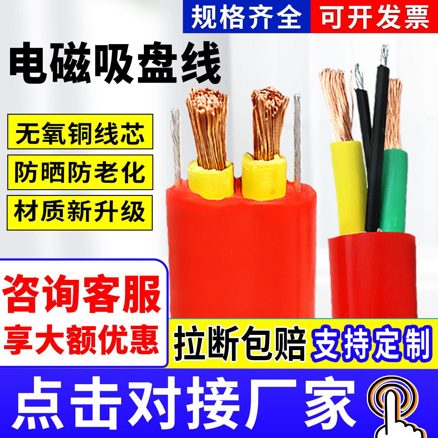 电磁吸盘电缆线2芯10/16/25/35平方带双钢丝圆电缆行车吸盘电缆线图片
