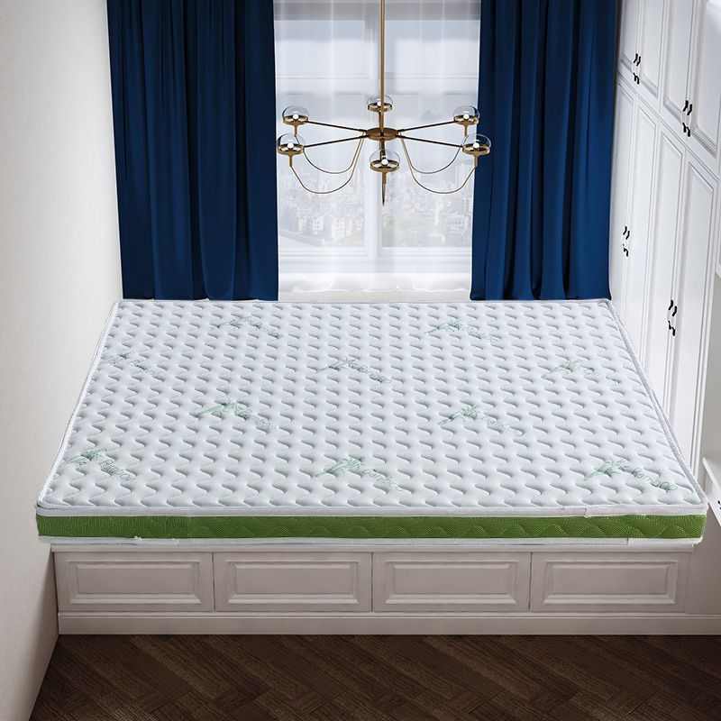 天然椰棕床垫偏硬经济型1.8米单人棕榈垫儿童可折叠罗加