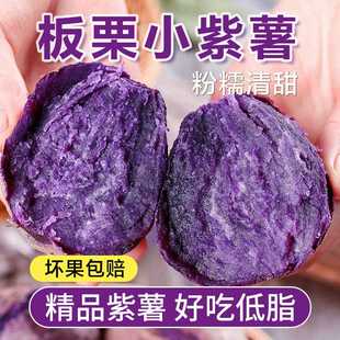 板栗小紫薯中大果新鲜低脂代餐越南品种红薯农家自种小个地瓜