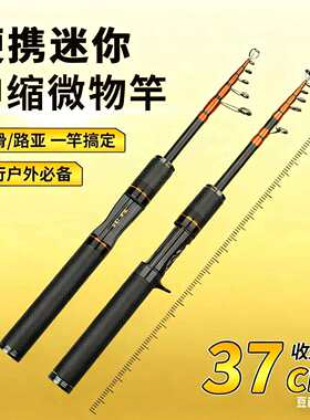 伸缩微物路亚马口杆L调枪柄直柄可收缩滑漂竿便携式碳素迷你路亚
