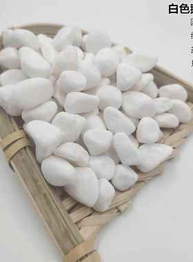 供应白石子白色鹅卵石园林造景用白色砾石白色碎石园艺白色小石子