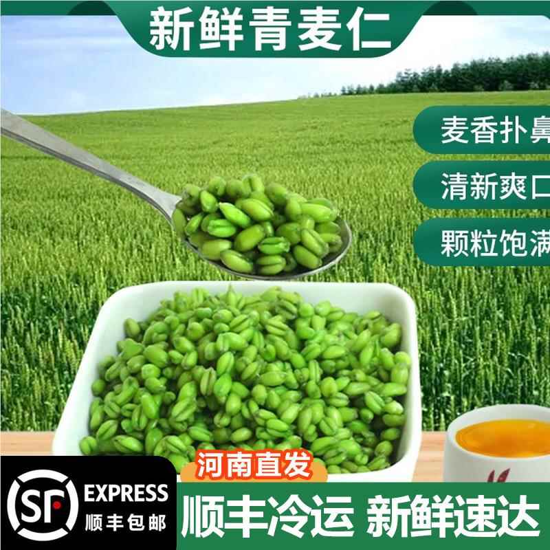 【顺丰冷运】新鲜青麦仁400g*4袋去皮青麦粒煮粥粗粮河南特产