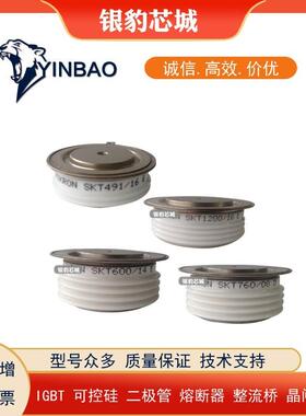 DCR2290V65 DCR2880B65 DCR2950W65 DCR3220A65原装现货 价格优惠