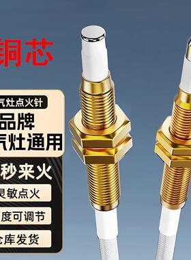 Universal Gas Stove Ignition Needle with Wire, Inductive Cop