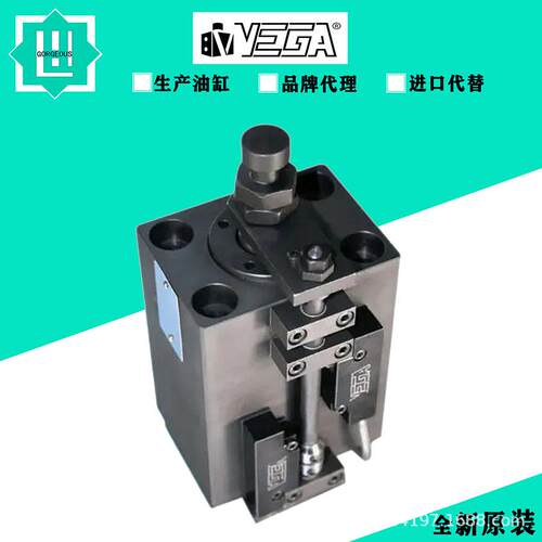 意大利VEGA 柱塞拉杆式方形液压缸CM040E0EG050液压油缸V250CE-10